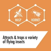 STEM Kills Outdoor Wasps Hornets Yellow Jackets Inse Count Killer Spray, 10 oz