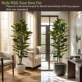 thumbnail image 4 of Pure Garden Set of Two 6FT Artificial Fiddle Leaf Fig Trees with Pots, 4 of 10