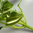 thumbnail image 3 of Small Fake Plants, Mini Potted Plants for Home Bathroom Shelf Decor, Artificial Eucalyptus Plants for Office Desk Greenery Decoration Mini Artificial Greenery, 3 of 9