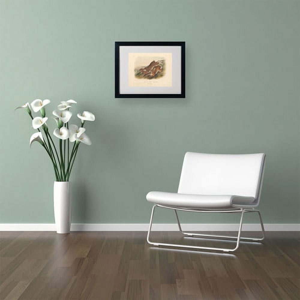 Trademark Fine Art "Northern Hare" Canvas Art by John James Audubon, Black Frame