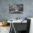 thumbnail image 5 of Epic Graffiti 'Wormsloe Inf Light' by Mike Jones, Giclee Canvas Wall Art, 18"x12", 5 of 8