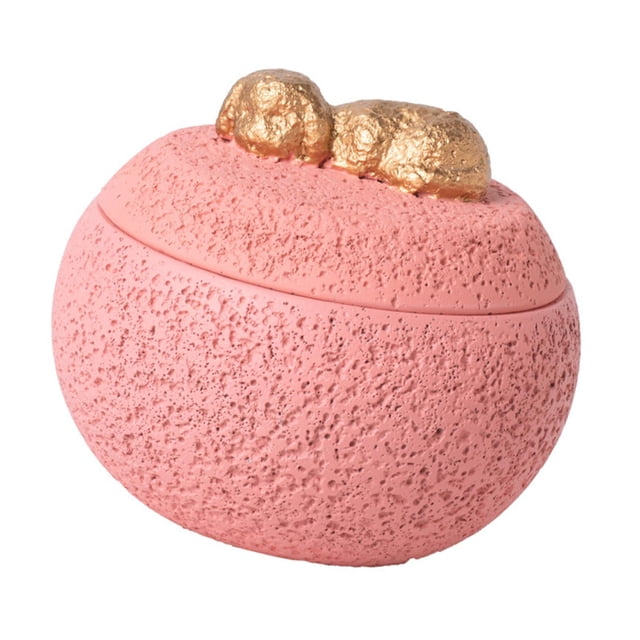 BELOVING Urne Commémorative pour Chien Boîte Commémorative Cendres Décoration de Bureau Souvenir Urne Rose