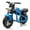 Blue, variant on Kids Bike 24V300W Kids Ride On XL Electric Toy Muscle Motorcycle,High-Speed Hub Motor,14in Widen EVA Wheels,Twist Grip Throttle, Speed up to 11.18MPH,Dual Suspension,Music&Light, Long Life Battery F