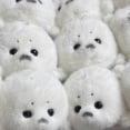 thumbnail image 4 of XIANXIAN 5" White Seal Stuffed Animal, Plush Toys for Kids, Kawaii Seal Plushies for Girls and Boys, Soft Stuffed Sea Animal, Birthday Gifts, Soft Plush Toys Pillow, Plushie Doll, 4 of 6