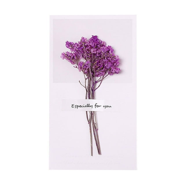 SIfdSeng Obtenez-le Rapidement Charme de Noël Carte de Vœux Fleur Séchée Design Festif Sentiments Naturels des Fêtes Idée