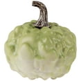 thumbnail image 4 of Northlight Décoration de Récolte d'Automne Citrouille Texturée - 5.5 Pouces - Vert, 4 of 6