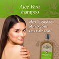 thumbnail image 4 of Tio Nacho Aloe Vera Deep Repair Shampoo with Royal Jelly, Anti-Hair Loss, Adults All Hair Types, 14 oz, 4 of 8