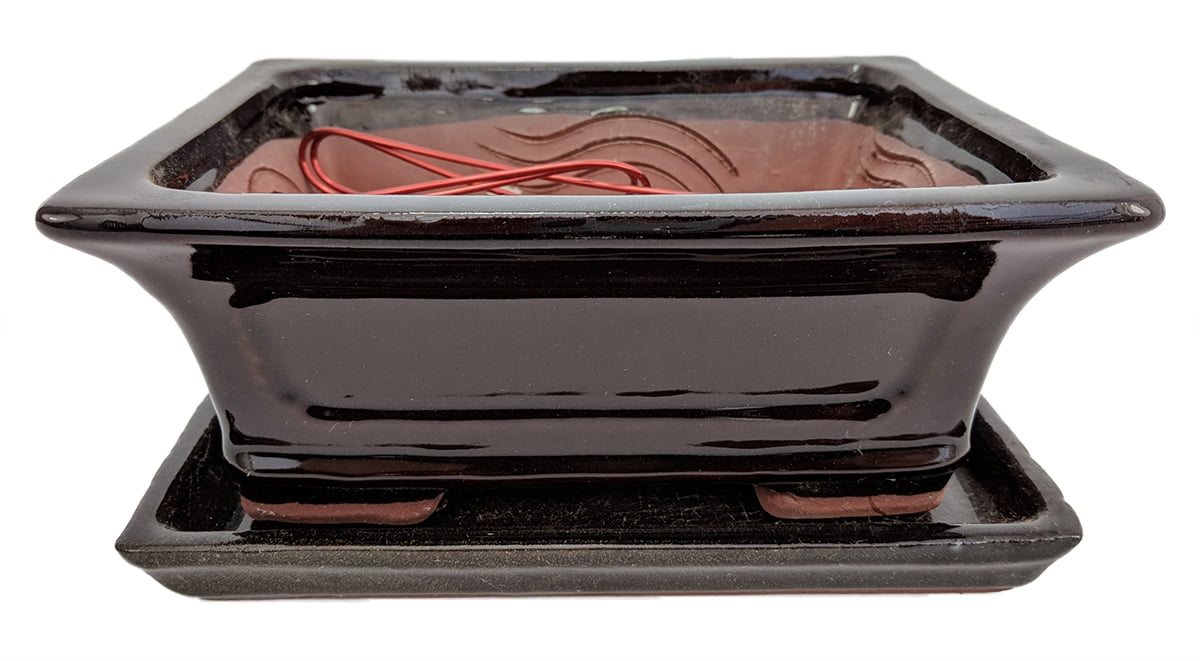 Pro Bonsai Pot/Saucer PreWired Brown/Rect/Flare6 3/8"x4 3/4"x2 5/8
