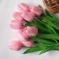 thumbnail image 1 of Pink Family Photography Pink Tulips, 1 of 1