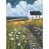 Coastal Cottage Daisy Path Canvas Print/Wall Art， Perfect for Living Room， Bedroom， Kitchen， Hallway， and Office Decoration.