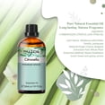 thumbnail image 2 of PHATOIL Citronella Essential Oils 100% Pure  for Diffusers, Humidifier, Aromatherapy Massage Bath Sleep Relaxation 30ml/1.01 fl.Oz, 2 of 8