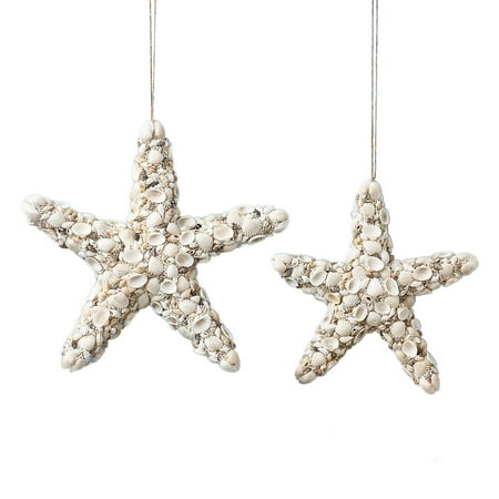Set Of 2 Decorative Shell Starfish Hanging Beach Coastal Wall Decor Set Of 2 Decorative Shell Starfish Hanging Beach Coastal Wall Decor