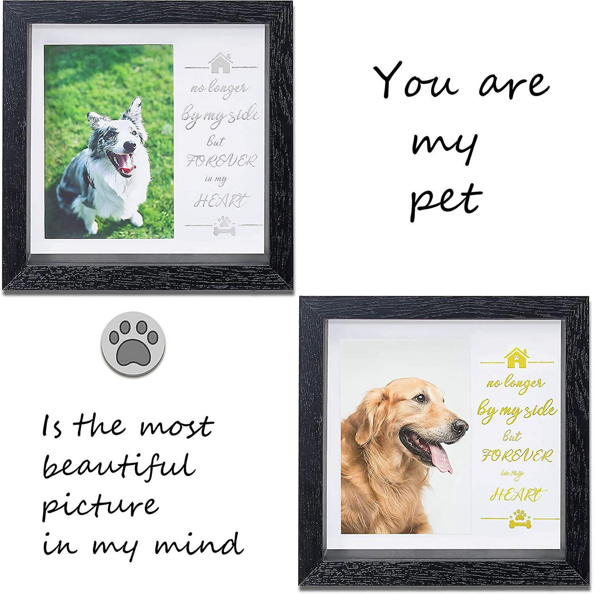 Dog memorial frame collar online