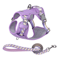 thumbnail image 1 of Pechera Arnés Con Correa Para Perro Talla XS Malubero Morado, 1 of 5