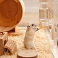 thumbnail image 4 of Hamster Water Bottle No Drip Double Ball 120ml Hanging for Small Pets, 4 of 7