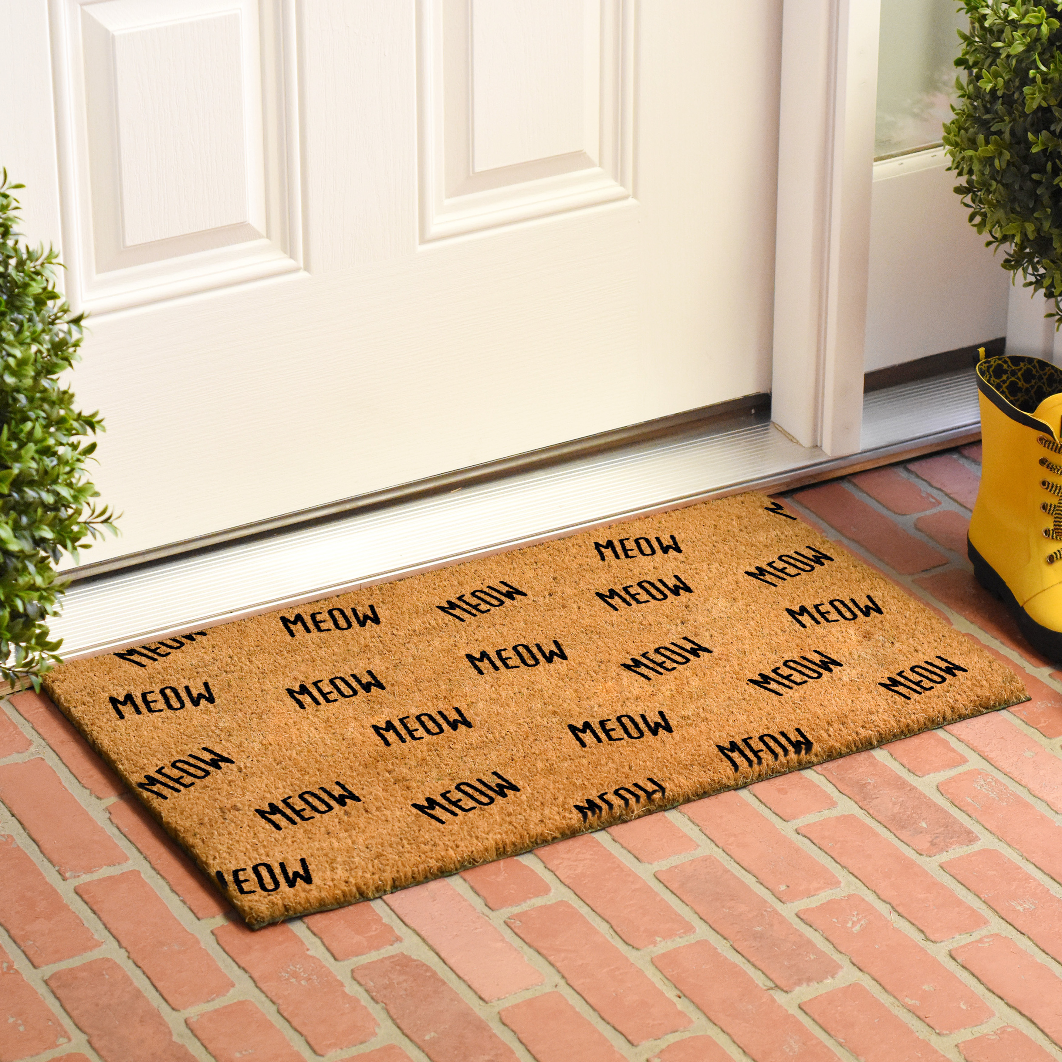 Lots of Meow Doormat