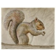 thumbnail image 1 of Betsy Drake PM314 Écureuil Tapis de Place - Lot de 4, 1 of 1
