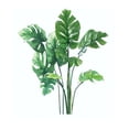 thumbnail image 1 of Pegatinas de pared YONGSHENG plantas tropicales, 1 of 5