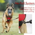 thumbnail image 5 of GoodTool Dog Harness, Night Reflective Pet Harness with 2m Dog Leash for Small to Medium Dogs, 5 of 9