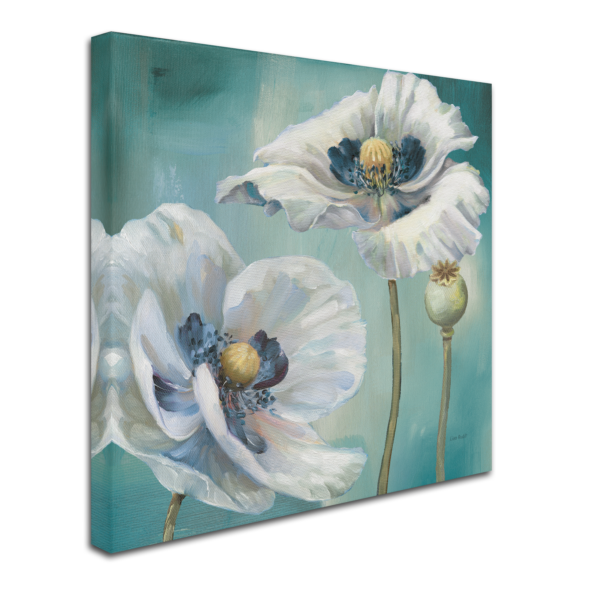 Trademark Fine Art 'Teal Dance II' Canvas Art by Lisa Audit