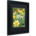 thumbnail image 2 of Trademark Fine Art Floral & Botanical Matted Framed Art ' Double Headed Daffodil ' by Kurt Shaffer, 2 of 4