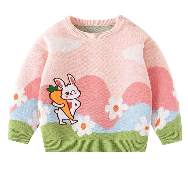LOVZFMLL Sweaters for Girls, Crew Neck Ribbed Pullover Cartoon Colorblock, Casual Cute Fall Clothes Warm Winter Tops Toddler Girls Clothes for 2-3 Years