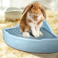 thumbnail image 4 of Miangastore Pet Toilet Ceramics Rabbit Cleaning Basin Fan-shaped Guinea Pig Toilet, 4 of 8