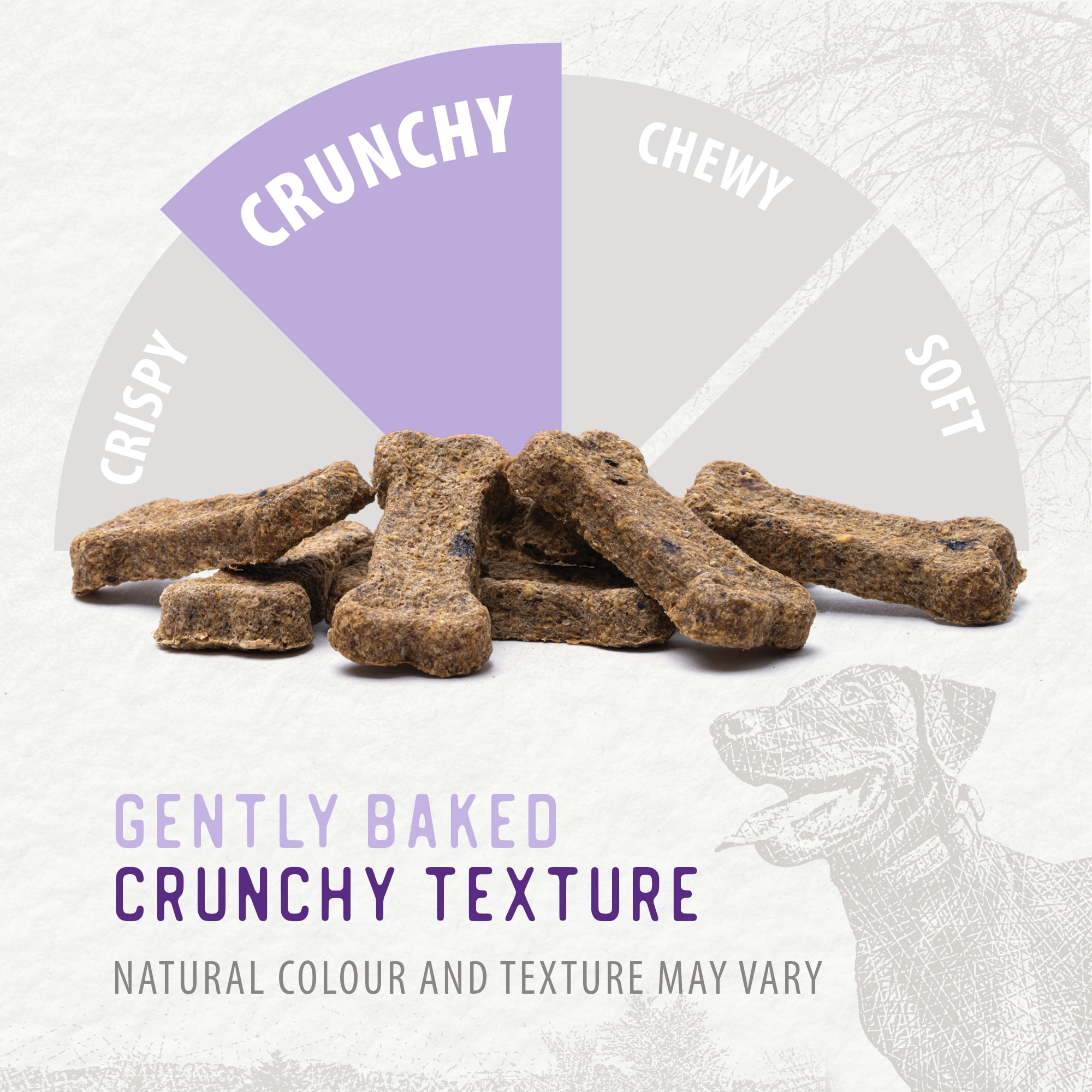 Biscuits croquants Caledon Farms - Friandises pour chiens au poulet, aux pommes et aux myrtilles, 553 grammes CALEDON FARMS BISCUIT CROQUANTS PL