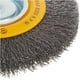 thumbnail image 2 of Carda De Alambre 6 PuLG Para Esmeril De Banco Dewalt Dw4904 DEWALT DW4904, 2 of 4