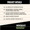 thumbnail image 6 of Green, Woodlife CopperCoat Wood Preservative-1904A, 28 oz, 6 of 10
