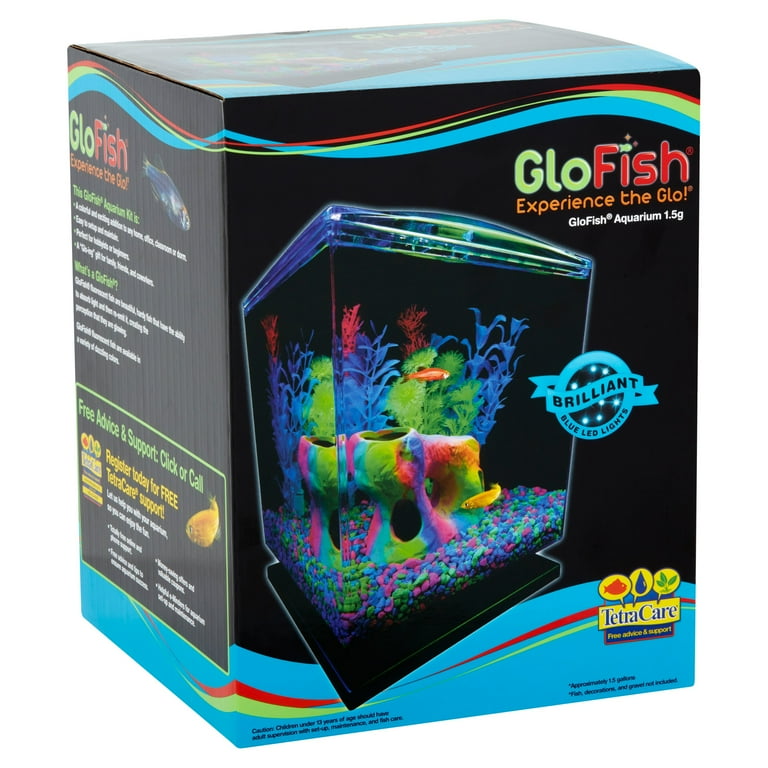 GloFish Betta Glass Aquarium Kit 1.5 Gallons, Easy Setup and