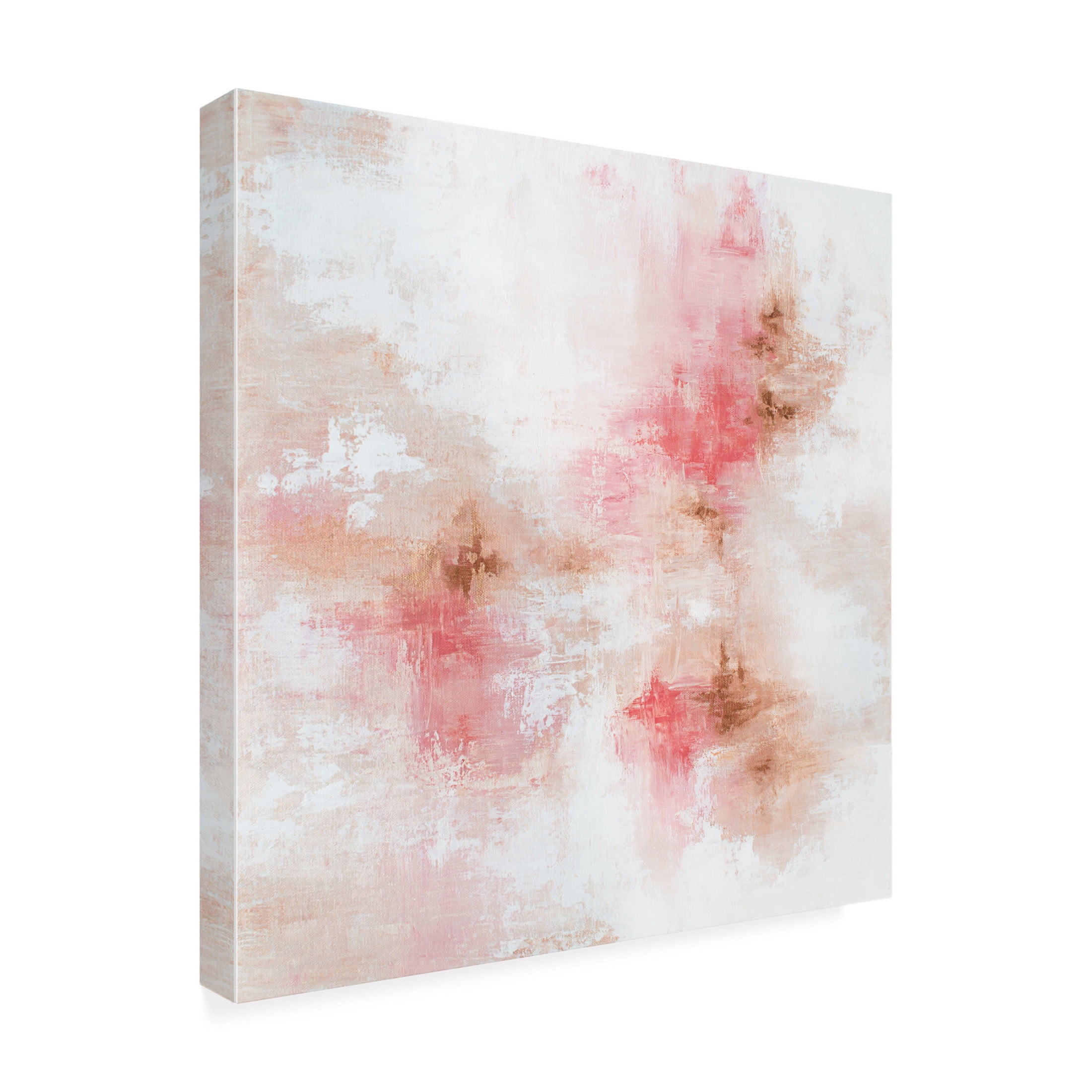 Trademark Fine Art Alyson Storms Rose Gold 1 Canvas Wall Art
