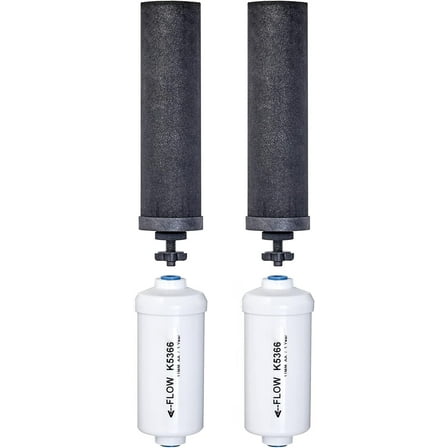 Berkey Black Replacement Fluoride Self-Sterilizing Cleanable Filters Combo Pack