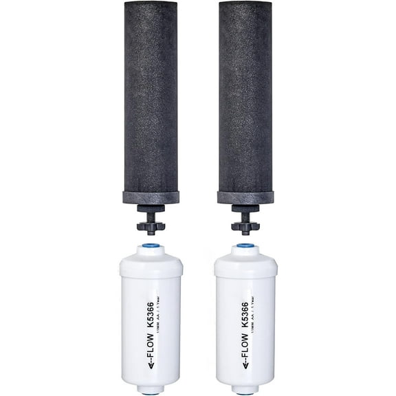 Berkey Black Replacement Fluoride Self-Sterilizing Cleanable Filters Combo Pack