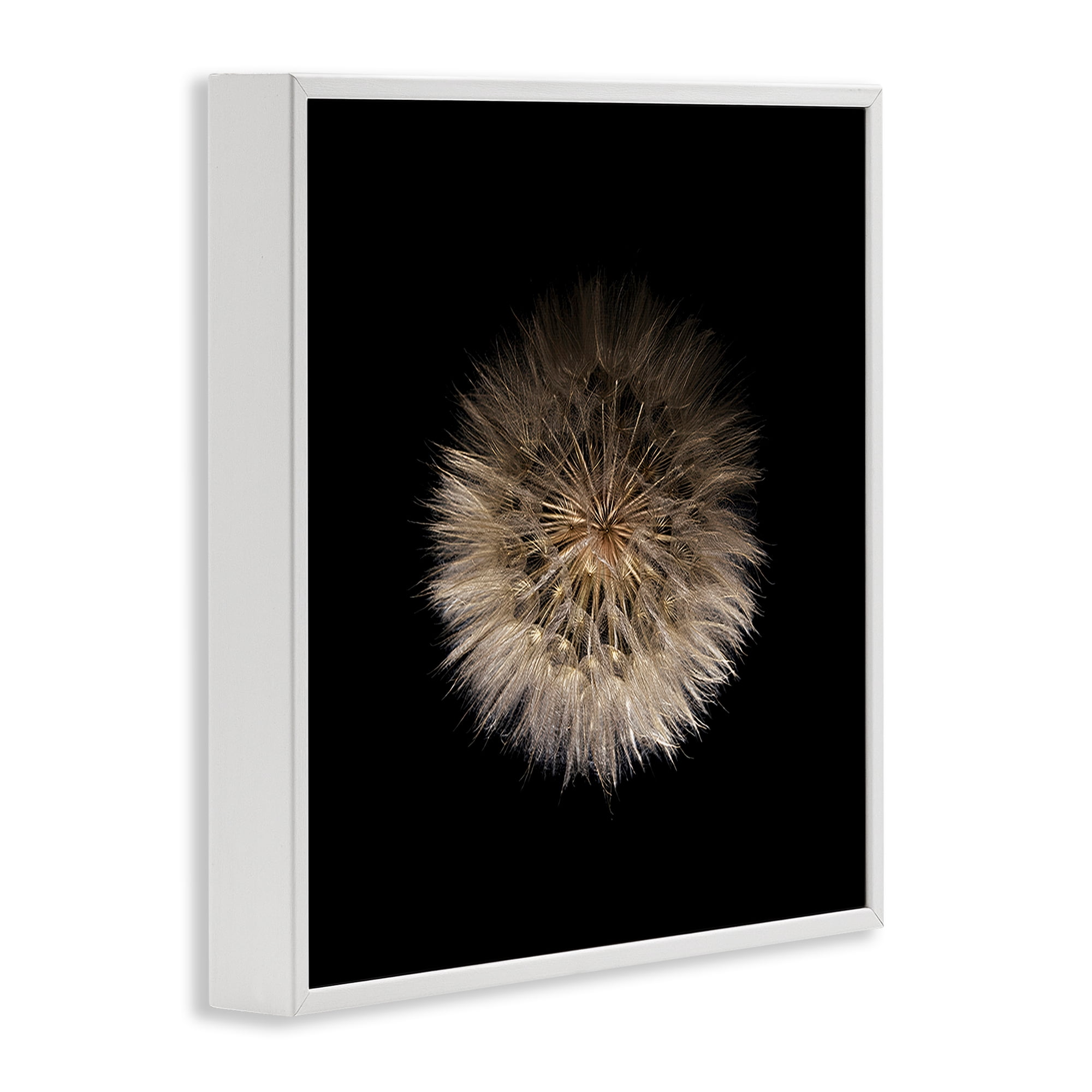 Stupell Industries Wispy Dandelion on Black White Framed Giclee Art, design by Beth Adoette