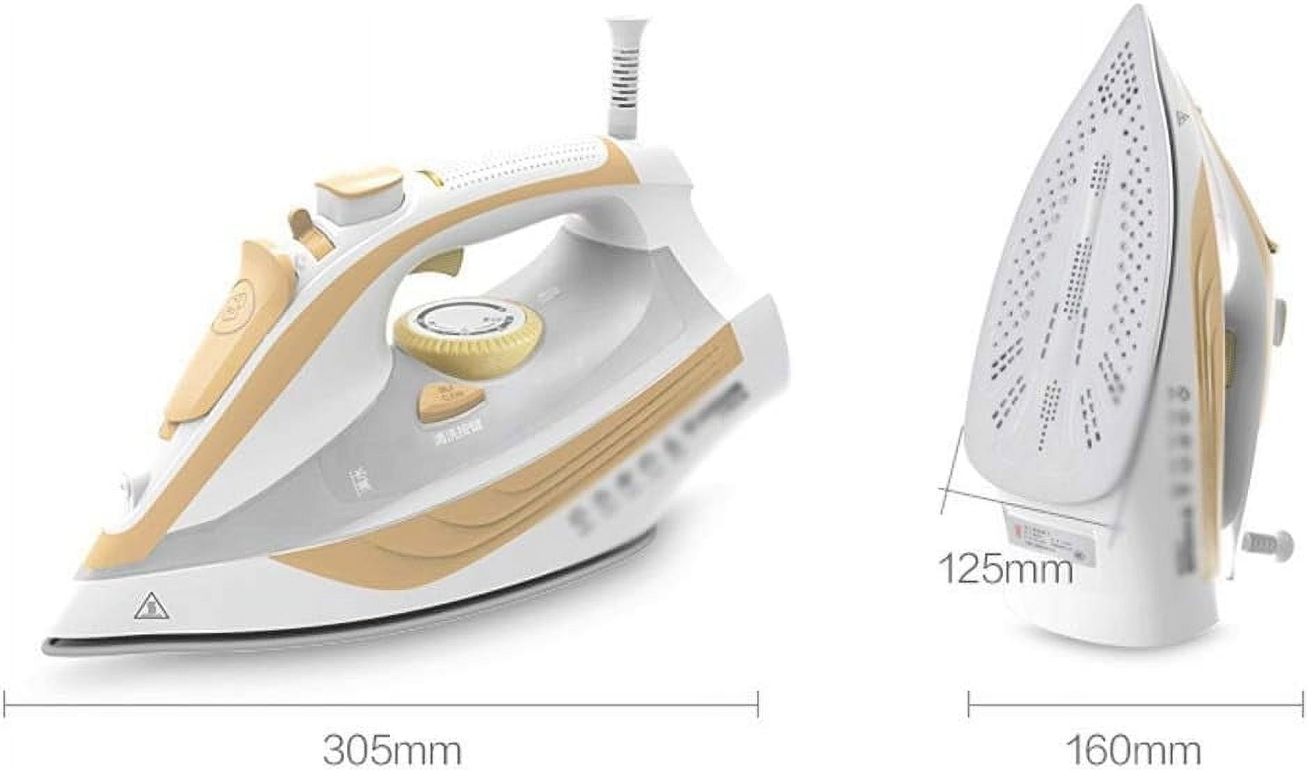 Speed Heat Steam Iron Vertical Steamer with Stainless Steel Sole Plate, Self Cleaning Function