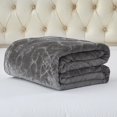 thumbnail image 1 of JML Warm Fleece Blanket, 1 Ply Lightweight Embossed Bed Blanket, Queen (75"x 91"), 1 of 7