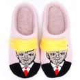 thumbnail image 1 of Pantuflas Mullidas para El Felpa Con Antideslizantes Creativas Hombres Y Mujeres, 1 of 9