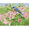 Boxed Note Cards, Apple Blossoms