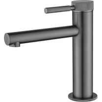 Single Handle Bathroom Sink Faucet, Single Hole Bathroom Faucet with Supply Hoses, Gun Grey