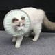 thumbnail image 1 of PetCat Collar isabelino antilamido de recuperación, ligero, transpirable, resistente al agua, protector antimordeduras (S), 1 of 8