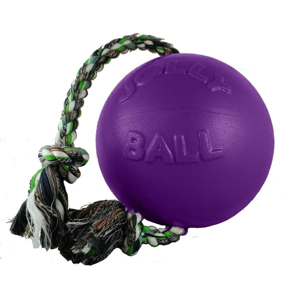 Jolly Pets Romp-N-Roll Ball