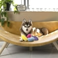 thumbnail image 5 of Midlee Jelly Bean Easter Dog Toy- Set of 4 (Small), 5 of 5
