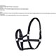 thumbnail image 2 of Item number: 43009.Dimensions when inflated: 171 x 105 x 48 cm; safety valve.Max. weight: 160 kg / Max. number of people: 2 adults.Sturdy handles. Con, 2 of 5