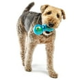 thumbnail image 5 of GURU Pet: Guru Duo Ball - Medium -7.25" Blue Dog Toy, Interactive Treat Dispensing, Slow Feeding, Easy Loading, Durable Rubber, Roll-Spin-Tumble-Solve, 5 of 9