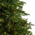 thumbnail image 5 of Nearly Natural Warm White Prelit LED Decorated Spruce Artificial Christmas Tree, 8', 5 of 11