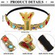 thumbnail image 2 of 3 Piezas Accesorios de Disfraz Egipcio Tocado Egipcio Diadema de Cobra Egipcia Pulsera de Serpiente Plegable Accesorios de Cleopatra Dorada Egipto Medusa Accesorios de Halloween para Mujer Sailing  Electrónica, 2 of 5
