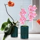 thumbnail image 5 of Maceta para orquídeas, maceta de cerámica para orquídeas, maceta hueca para plantas de interior, maceta cilíndrica para jardinería con agujeros y platillo., 5 of 7
