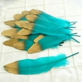 thumbnail image 3 of BalsaCircle 30 Turquoise 9" Metallic Gold Tip Natural Decorations Goose Feathers, 3 of 6