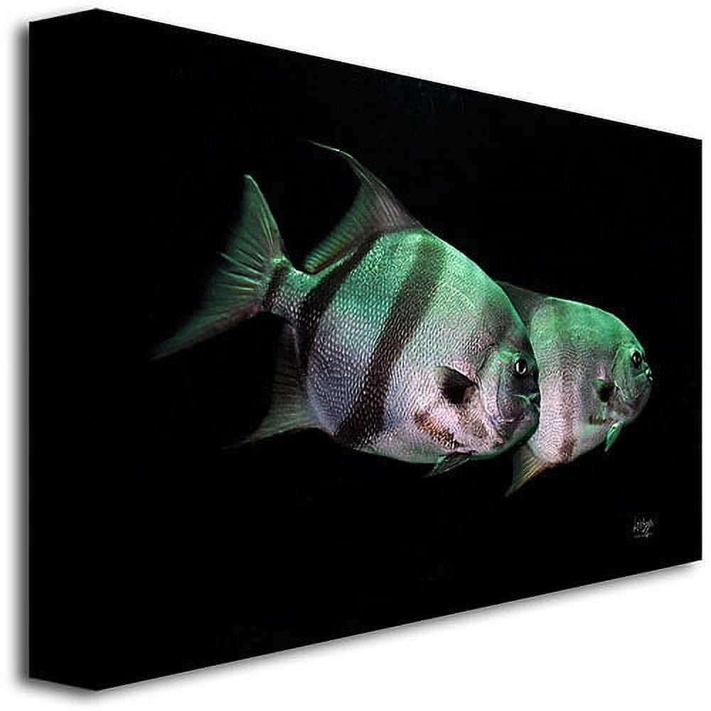 Trademark Fine Art "Fish in the Dark" Canvas Wall Art by Lois Bryan